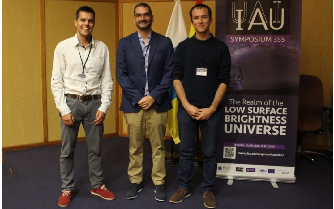 Participació al 355 Symposium de la Unió Internacional d’Astronomia (IAU) a La Laguna (Canàries)