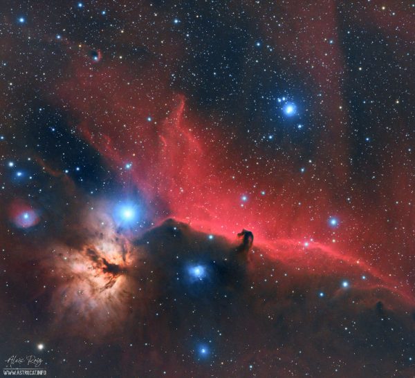 The Horsehead and Flame Nebulae