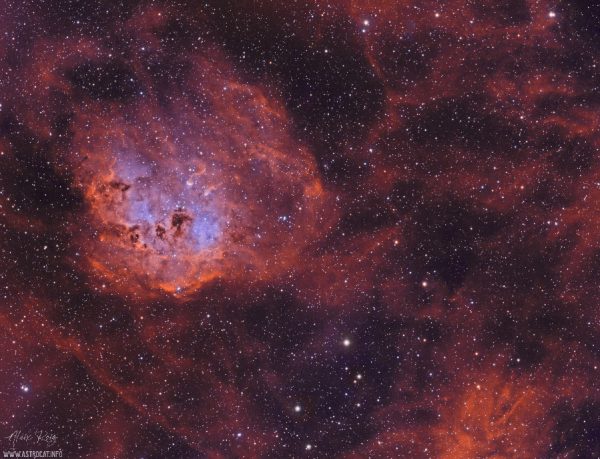 IC 410, Tadpoles Nebula