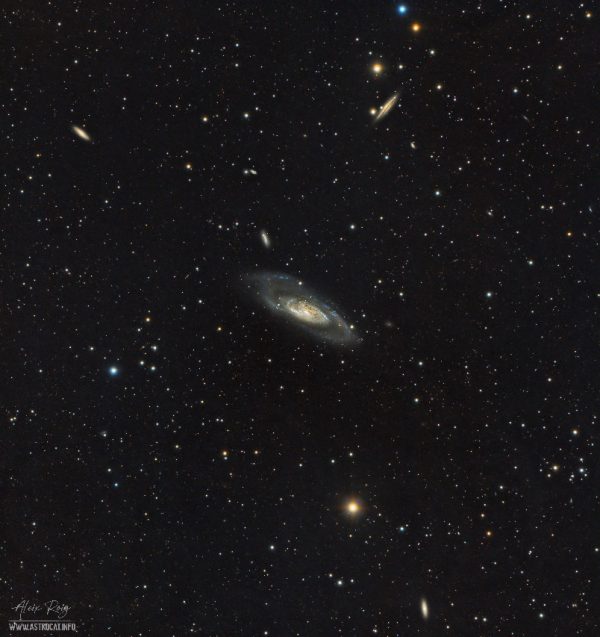 M106 galaxy and friends, wide field