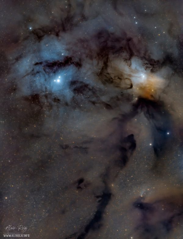 Rho Ophiuchi cloud complex