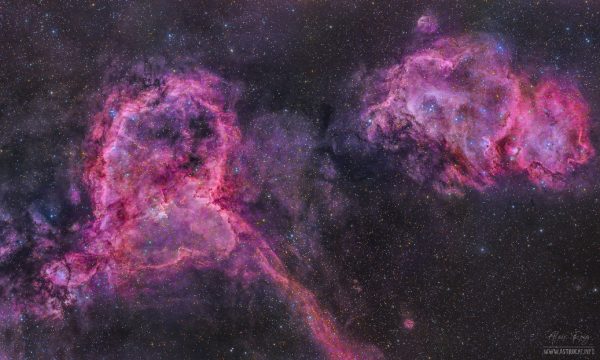 The Heart and Soul Nebulae