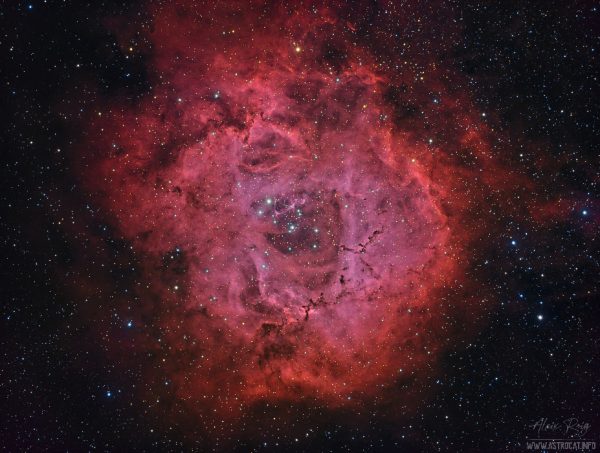 The Rosette Nebula, NGC 2237