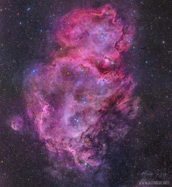 The Soul Nebula, IC1848