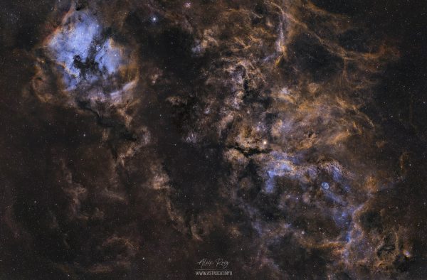 Cygnus, the wide field magic line
