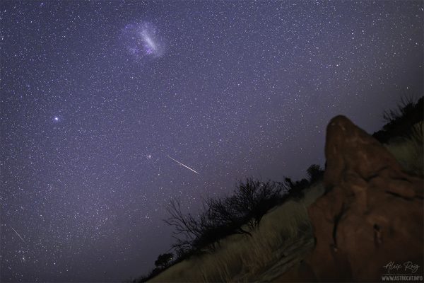Large Magellanic Cloud, meteors and ants nest
