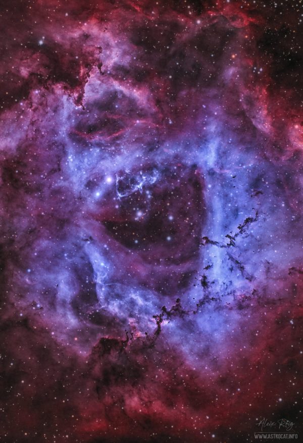 The Rosette Nebula narrow band - Image 2
