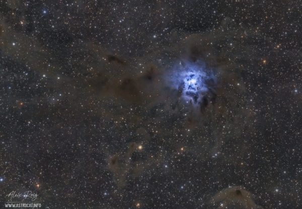 Iris Nebula, NGC 7023