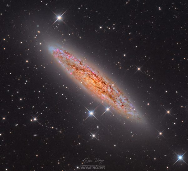 The Silver Coin galaxy, NGC253