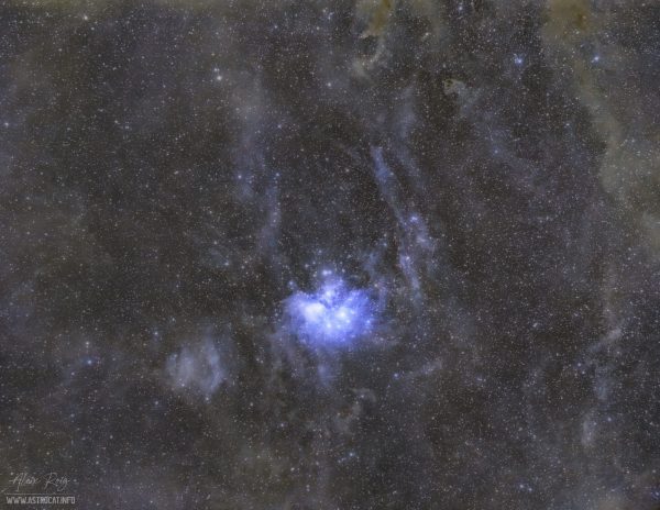 The Pleiades wide field