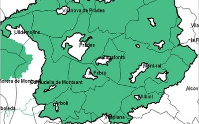 REVISIÓ DE L’ESTUDI D’IMPACTE AMBIENTAL DEL PROJECTE DEL CAMP