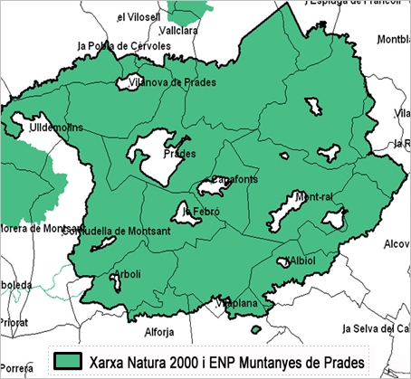 REVISIÓ DE L’ESTUDI D’IMPACTE AMBIENTAL DEL PROJECTE DEL CAMP