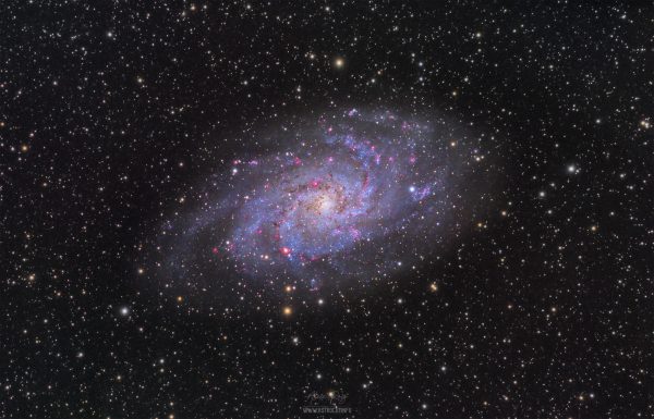 The Triangulum galaxy - Image 2
