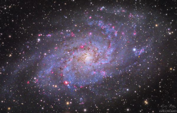 The Triangulum galaxy