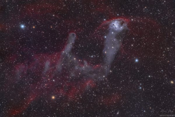 NGC 1788 and the Cosmic Bat