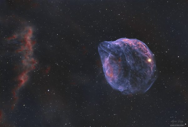Sharpless-308, the Dolphin Nebula