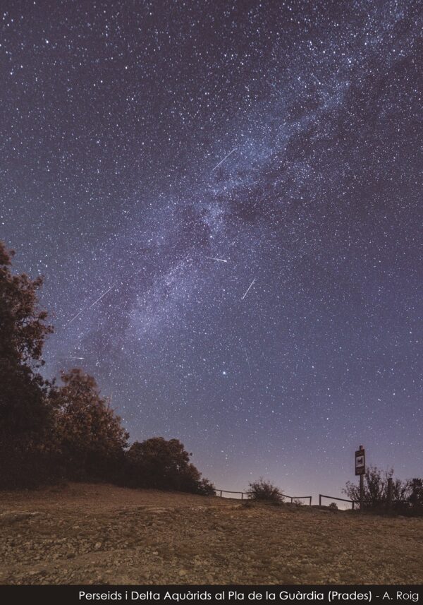 Perseid Meteor Shower