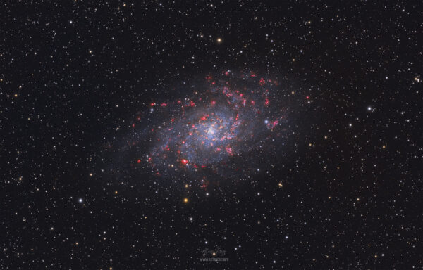 Nebulae in the Spiral Arms of the Triangulum galaxy