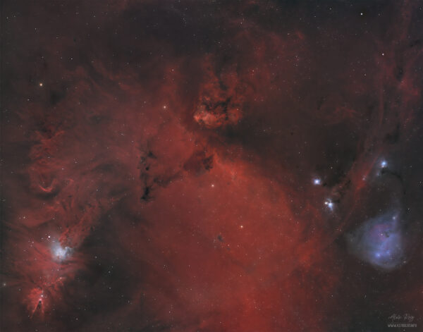 The Cone Nebula wide field