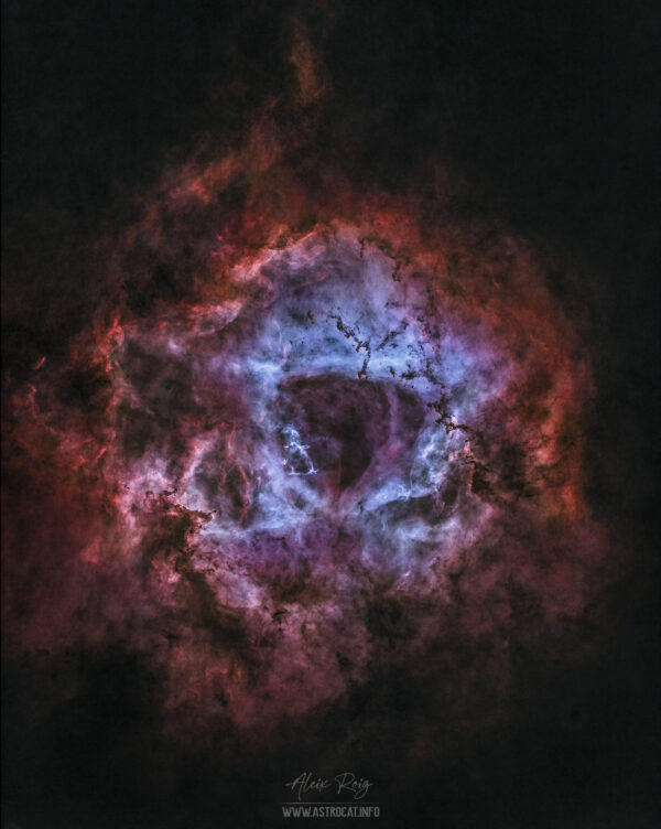 The Rosette Nebula narrow band