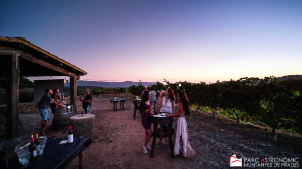 2 de agosto: VINOS, ESTRELLAS Y VIÑAS - Imagen 4