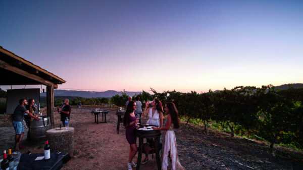 2 d'agost: VINS, ESTELS I VINYES - Imatge 4