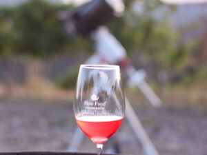2 d'agost: VINS, ESTELS I VINYES