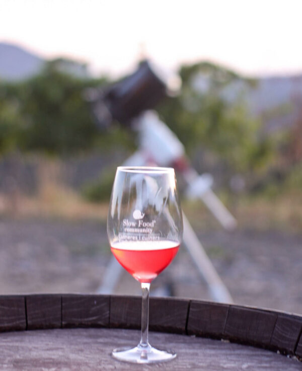 2 d'agost: VINS, ESTELS I VINYES