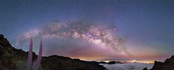 Air glows, Milky Way and blooming tajinastes