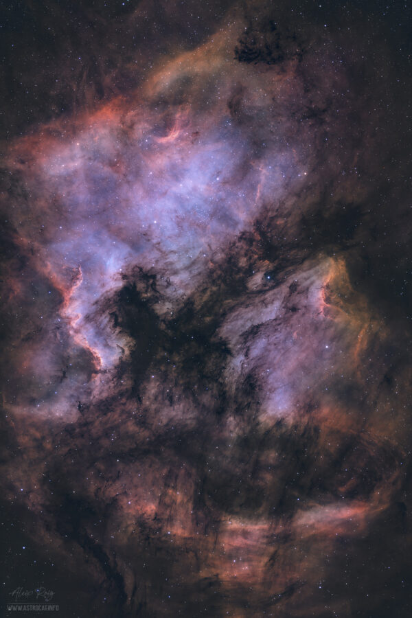 North America & Pelican Nebulae