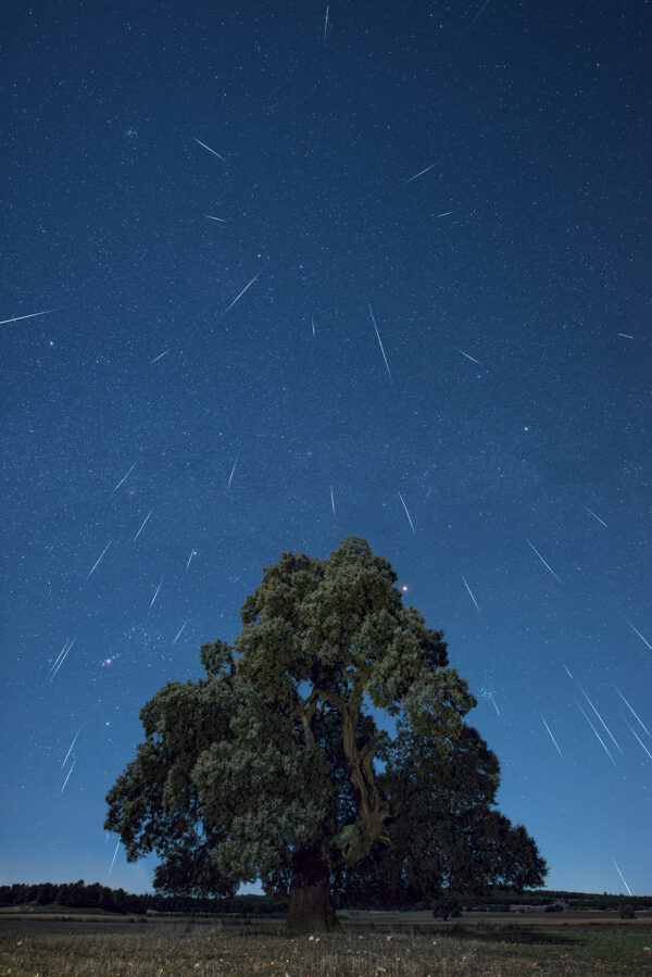 CURSO ASTROPAISAJE CON NEBULB: Lluvias de Estrellas - Imagen 10