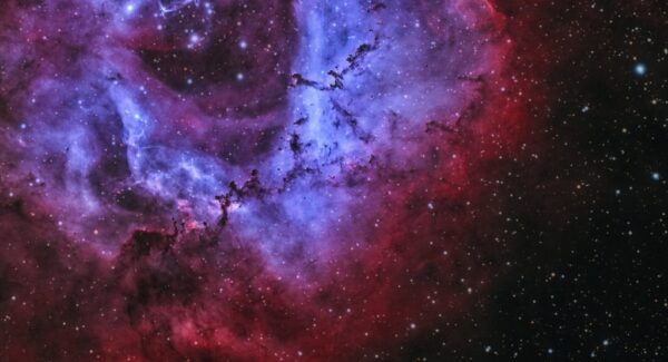 Intolerancias CENA CON ESTRELLAS - Imagen 2
