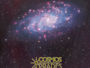 COSMOS PRADES